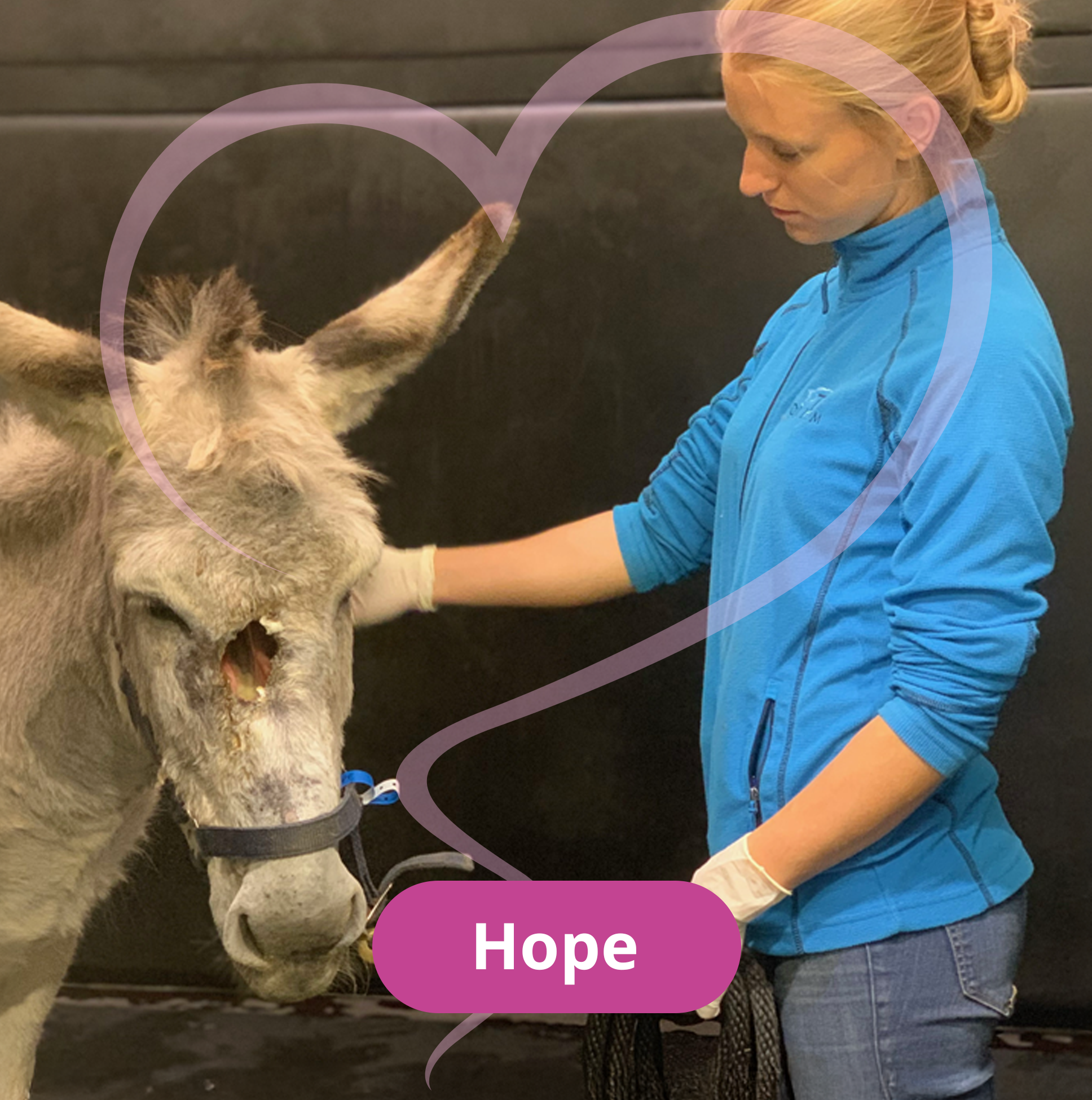 Hope: shot in the head