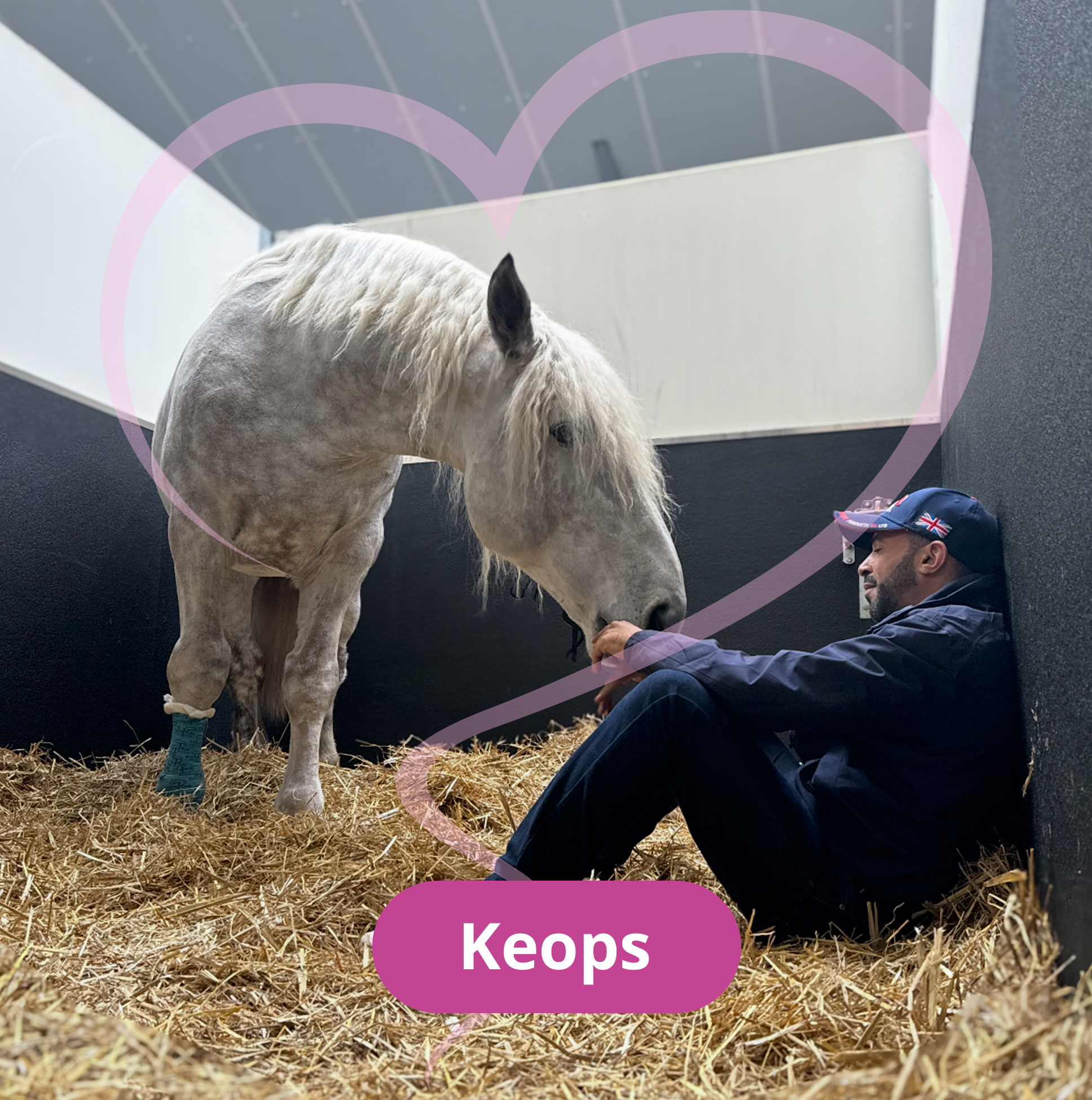 Keops: saved from slaughter